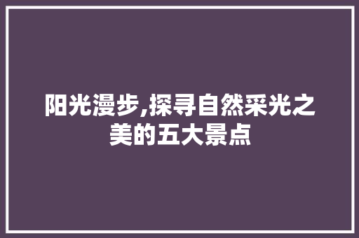 阳光漫步,探寻自然采光之美的五大景点