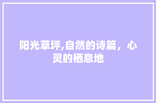 阳光草坪,自然的诗篇，心灵的栖息地