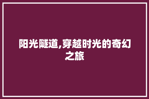 阳光隧道,穿越时光的奇幻之旅