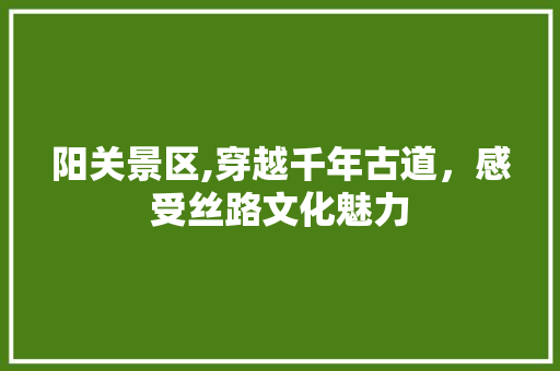 阳关景区,穿越千年古道，感受丝路文化魅力