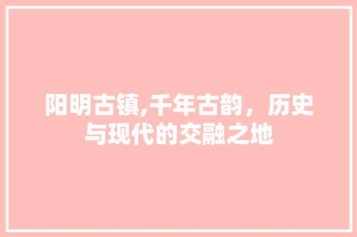 阳明古镇,千年古韵，历史与现代的交融之地