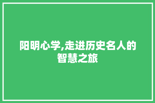 阳明心学,走进历史名人的智慧之旅