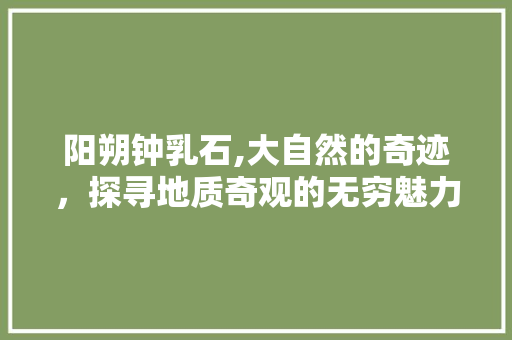 阳朔钟乳石,大自然的奇迹，探寻地质奇观的无穷魅力