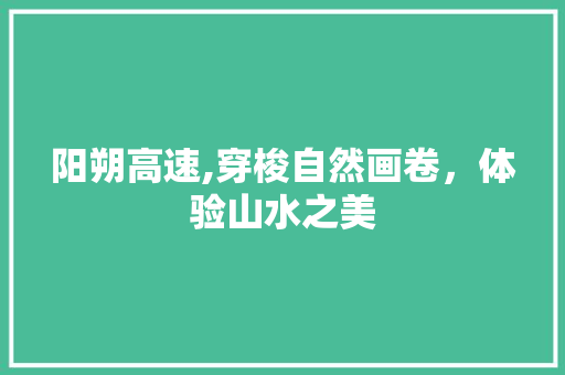 阳朔高速,穿梭自然画卷，体验山水之美