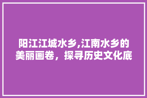 阳江江城水乡,江南水乡的美丽画卷，探寻历史文化底蕴