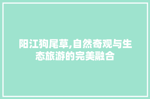 阳江狗尾草,自然奇观与生态旅游的完美融合