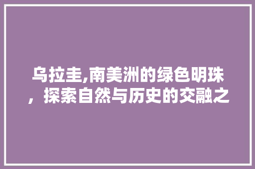 乌拉圭,南美洲的绿色明珠，探索自然与历史的交融之旅  第1张