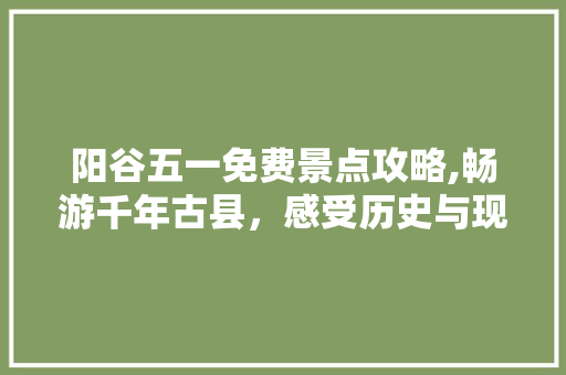 阳谷五一免费景点攻略,畅游千年古县，感受历史与现代交融之美