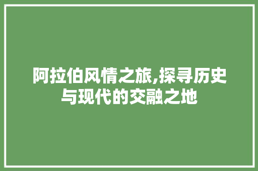 阿拉伯风情之旅,探寻历史与现代的交融之地