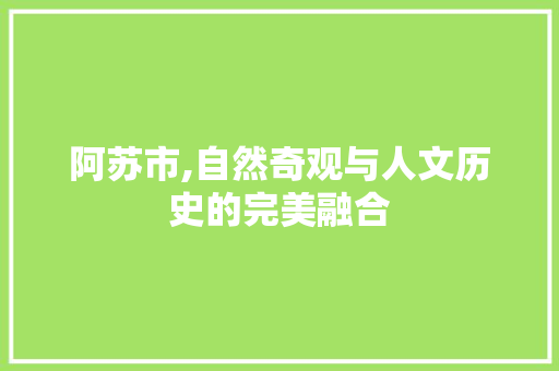 阿苏市,自然奇观与人文历史的完美融合