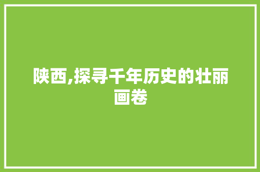 陕西,探寻千年历史的壮丽画卷