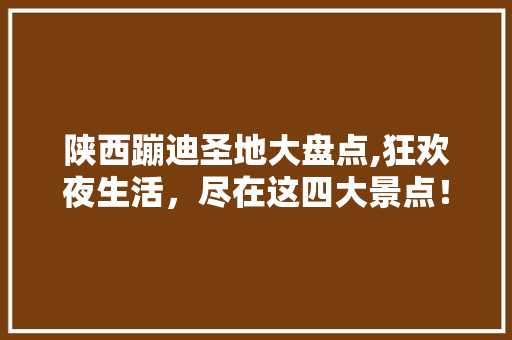 陕西蹦迪圣地大盘点,狂欢夜生活，尽在这四大景点！