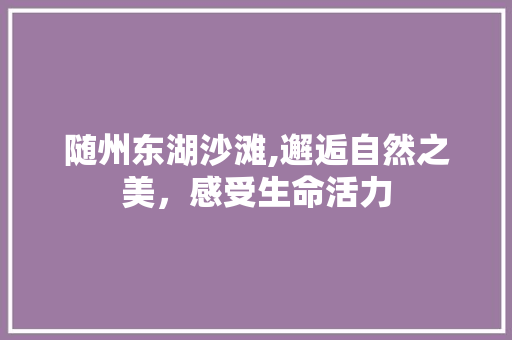 随州东湖沙滩,邂逅自然之美，感受生命活力