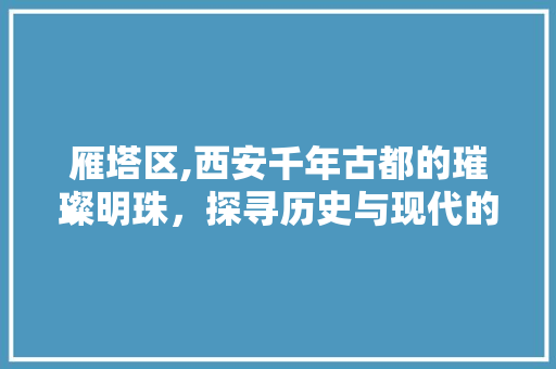 雁塔区,西安千年古都的璀璨明珠，探寻历史与现代的交融之地