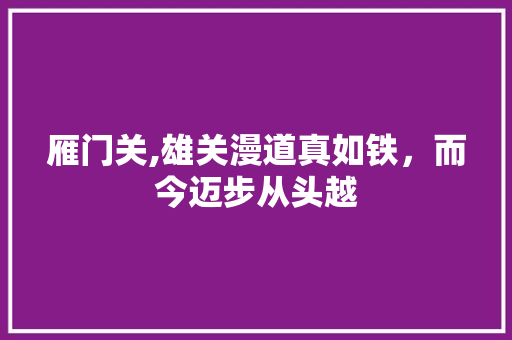 雁门关,雄关漫道真如铁，而今迈步从头越