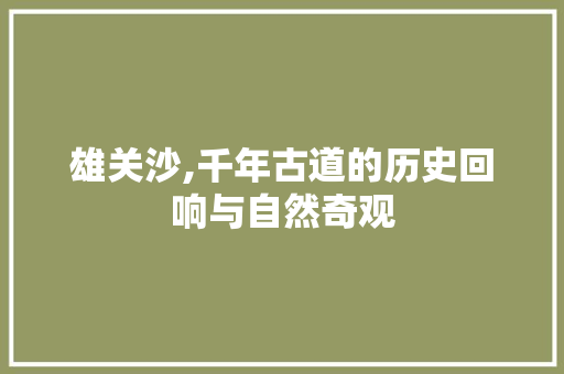 雄关沙,千年古道的历史回响与自然奇观