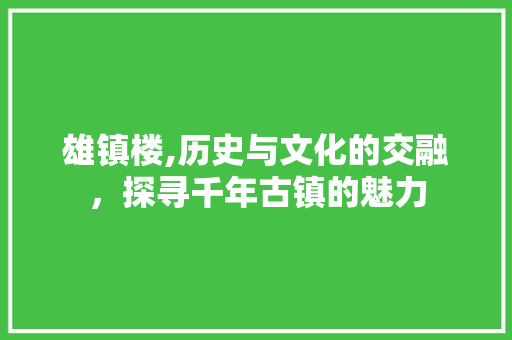 雄镇楼,历史与文化的交融，探寻千年古镇的魅力