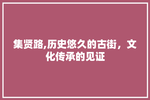 集贤路,历史悠久的古街，文化传承的见证