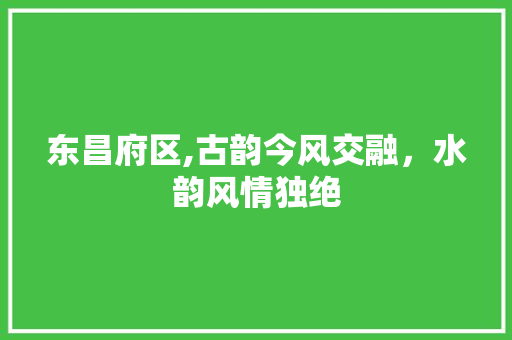 东昌府区,古韵今风交融，水韵风情独绝