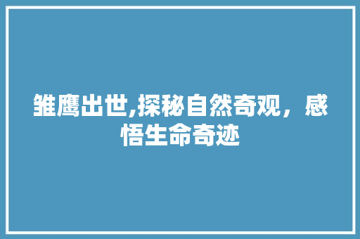 雏鹰出世,探秘自然奇观，感悟生命奇迹