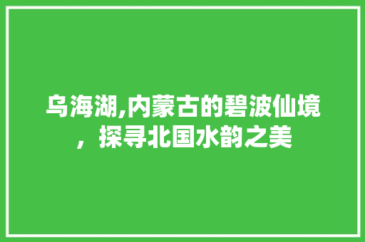 乌海湖,内蒙古的碧波仙境，探寻北国水韵之美  第1张