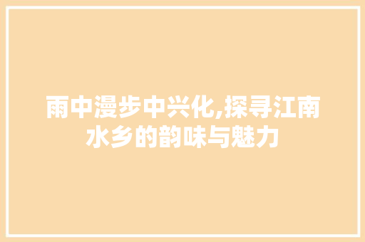 雨中漫步中兴化,探寻江南水乡的韵味与魅力