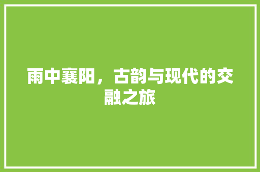 雨中襄阳，古韵与现代的交融之旅