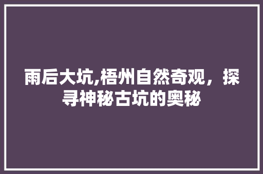 雨后大坑,梧州自然奇观，探寻神秘古坑的奥秘