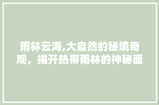 雨林云海,大自然的秘境奇观，揭开热带雨林的神秘面纱