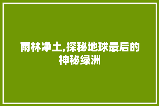 雨林净土,探秘地球最后的神秘绿洲