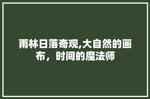 雨林日落奇观,大自然的画布，时间的魔法师