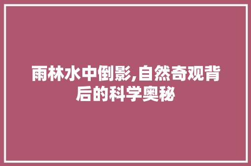 雨林水中倒影,自然奇观背后的科学奥秘