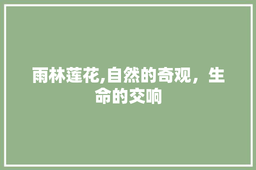 雨林莲花,自然的奇观，生命的交响