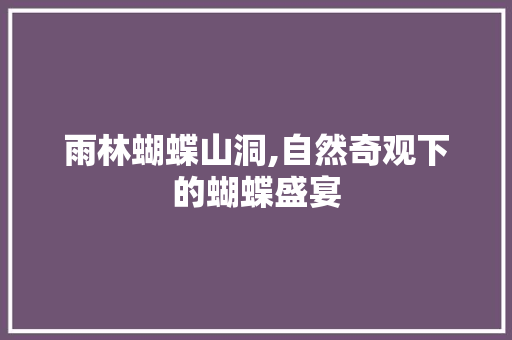 雨林蝴蝶山洞,自然奇观下的蝴蝶盛宴