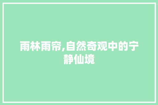 雨林雨帘,自然奇观中的宁静仙境