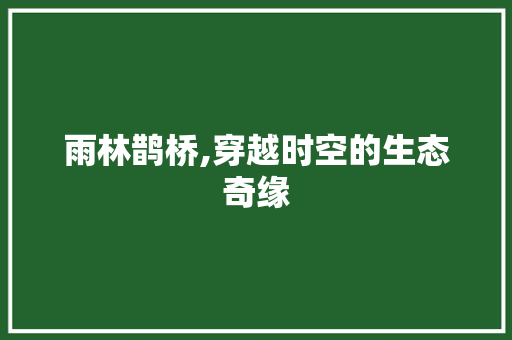 雨林鹊桥,穿越时空的生态奇缘