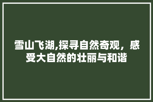 雪山飞湖,探寻自然奇观，感受大自然的壮丽与和谐