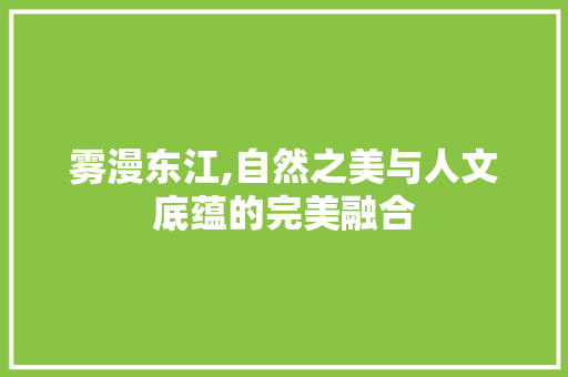 雾漫东江,自然之美与人文底蕴的完美融合