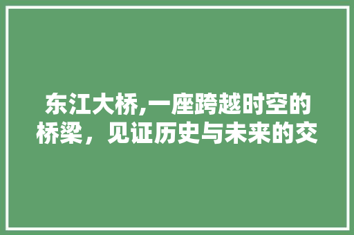 东江大桥,一座跨越时空的桥梁，见证历史与未来的交融