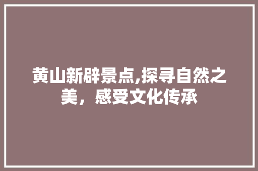 黄山新辟景点,探寻自然之美，感受文化传承  第1张