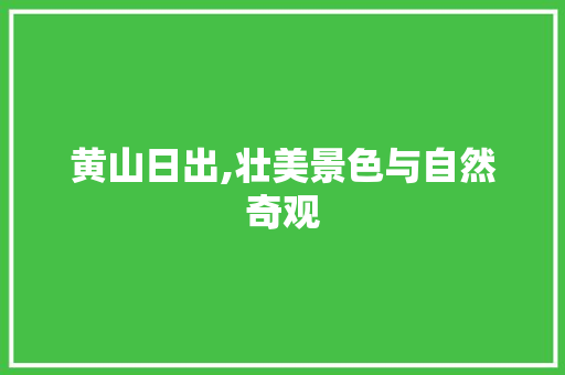 黄山日出,壮美景色与自然奇观