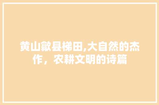 黄山歙县梯田,大自然的杰作，农耕文明的诗篇