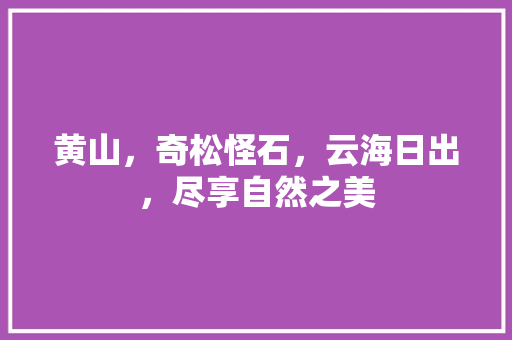 黄山，奇松怪石，云海日出，尽享自然之美