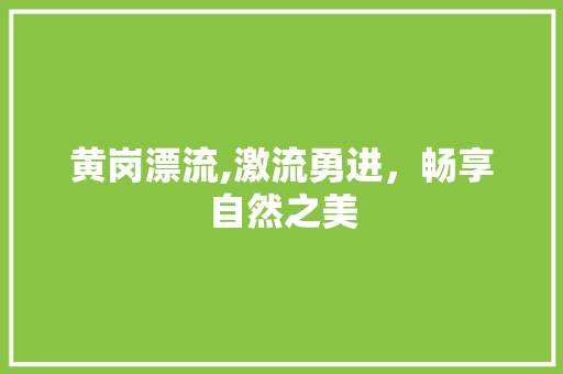 黄岗漂流,激流勇进，畅享自然之美