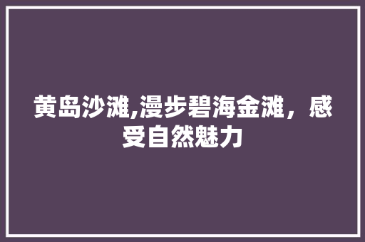 黄岛沙滩,漫步碧海金滩，感受自然魅力