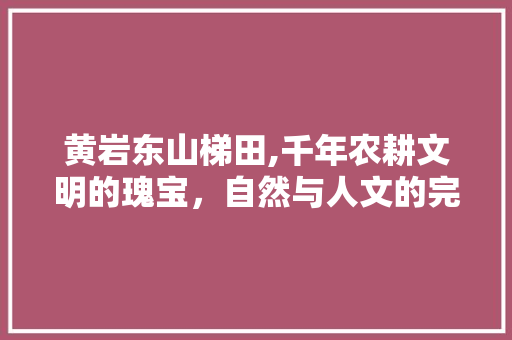 黄岩东山梯田,千年农耕文明的瑰宝，自然与人文的完美融合