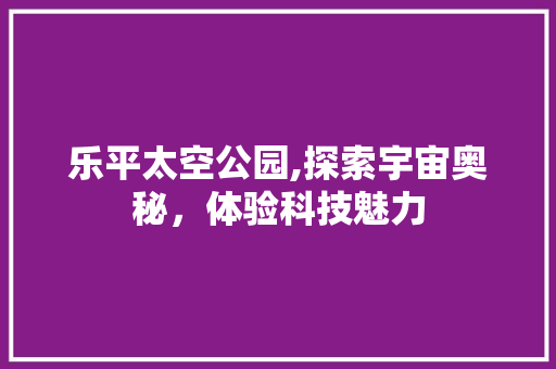 乐平太空公园,探索宇宙奥秘，体验科技魅力