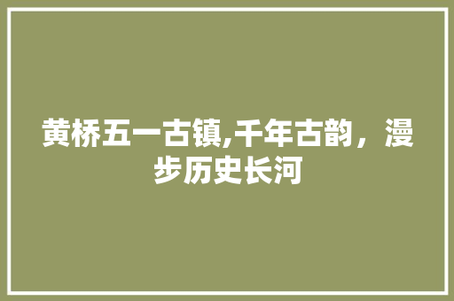 黄桥五一古镇,千年古韵，漫步历史长河