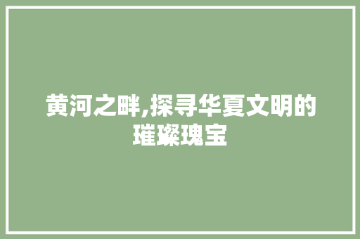 黄河之畔,探寻华夏文明的璀璨瑰宝