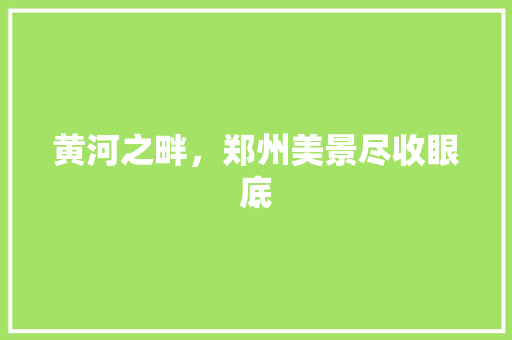 黄河之畔，郑州美景尽收眼底